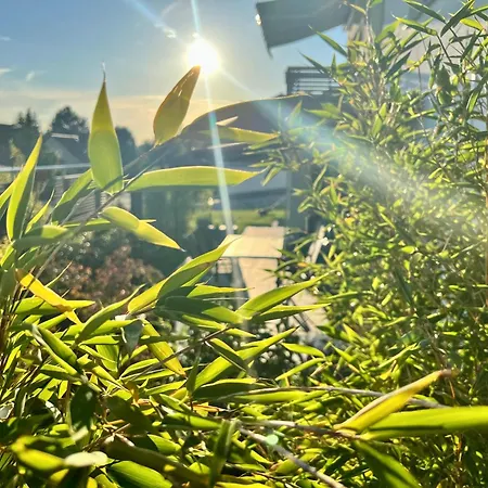Zauberhafte Mit Wellness-bad * Bad Harzburg
