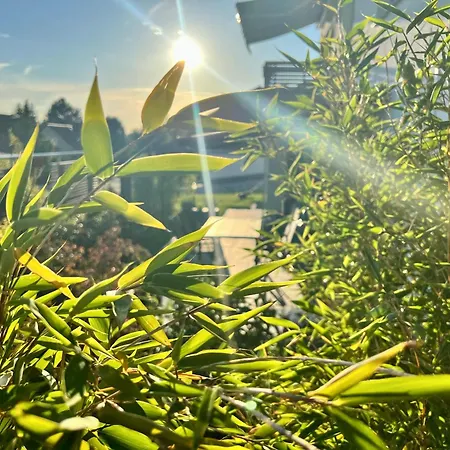 Zauberhafte Mit Wellness-bad * Bad Harzburg
