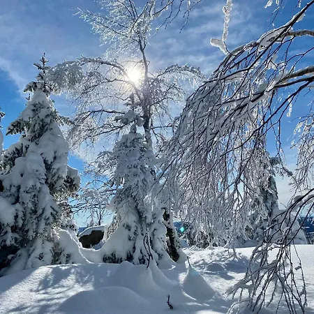 Zauberhafte Mit Wellness-bad 바트하르추부르크